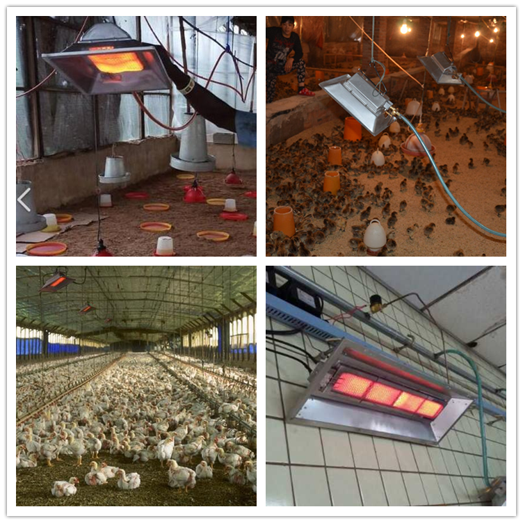 2024 High-quality One Natural Gas Infrared Radiant Tube Heater Brooder THD6806 for farm chicken house 1200 Chicks