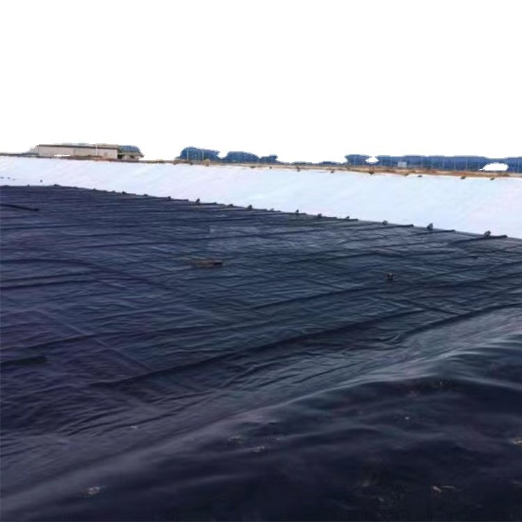 landfill dam plastic sheet membrane lake farm fish tank film pond liner 0.5mm thickness hdpe Geomembrane