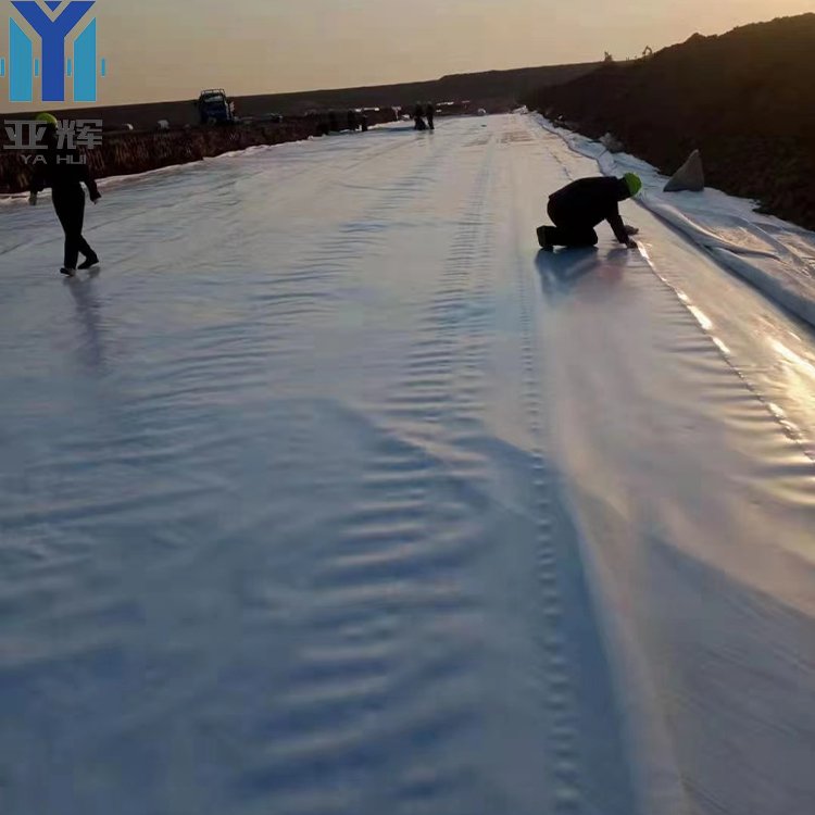 landfill dam plastic sheet membrane lake farm fish tank film pond liner 0.5mm thickness hdpe Geomembrane