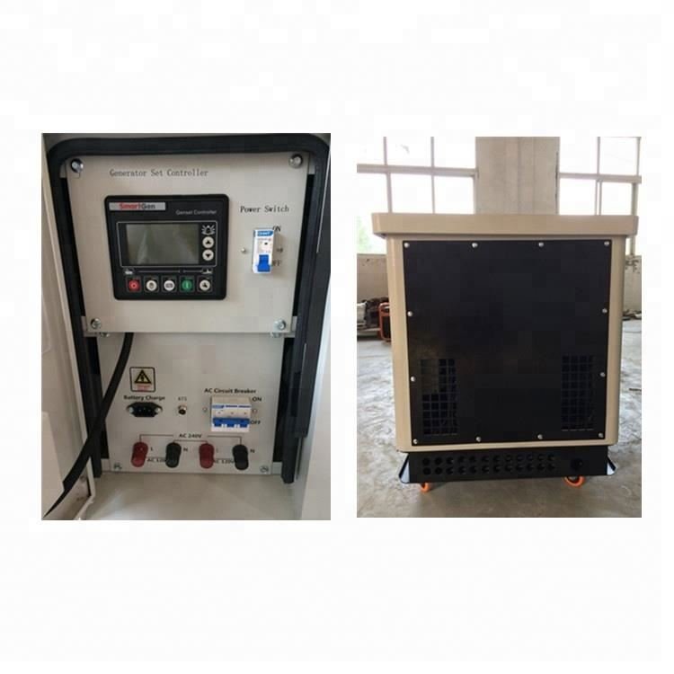 China 5kva 5kw Small Size Micro Mini CHP Biogas Electric Generator Price for Sale 50hz 60hz