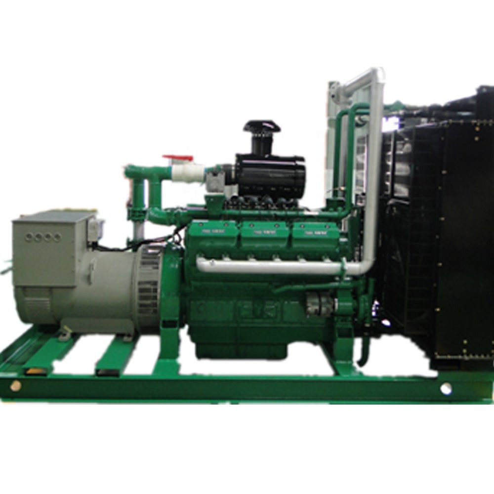 300kw 400kw 500kw 50Hz Electric Biogas Generator Set