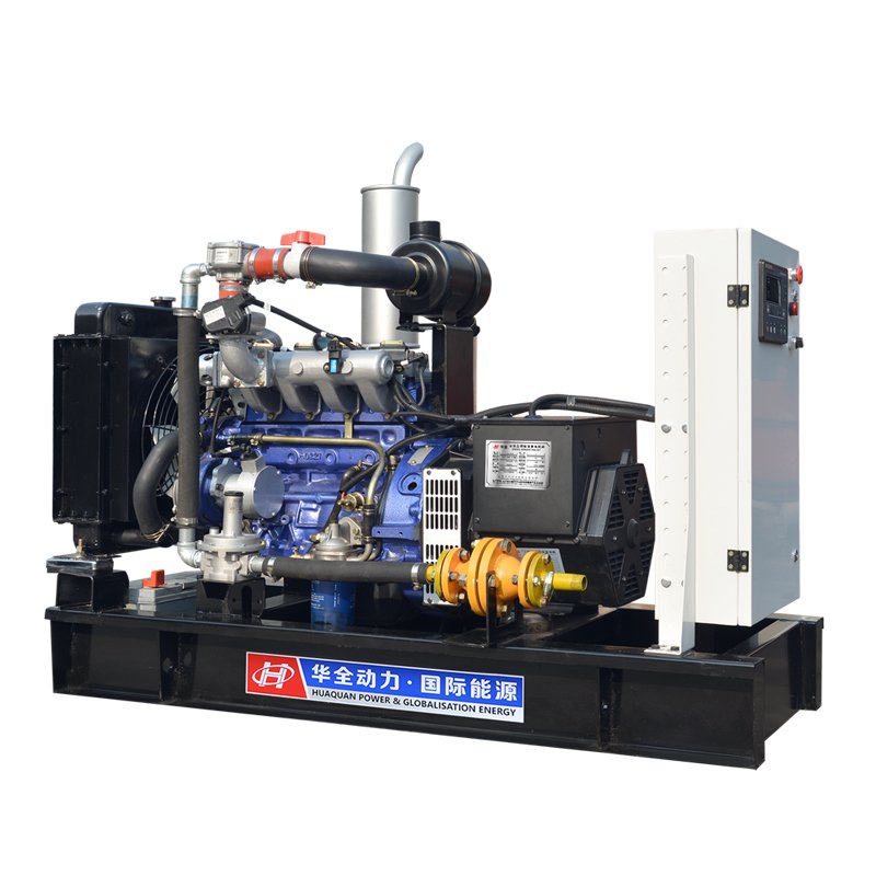 Biogas plant from animal waste/farm waste/biomass cogeneration