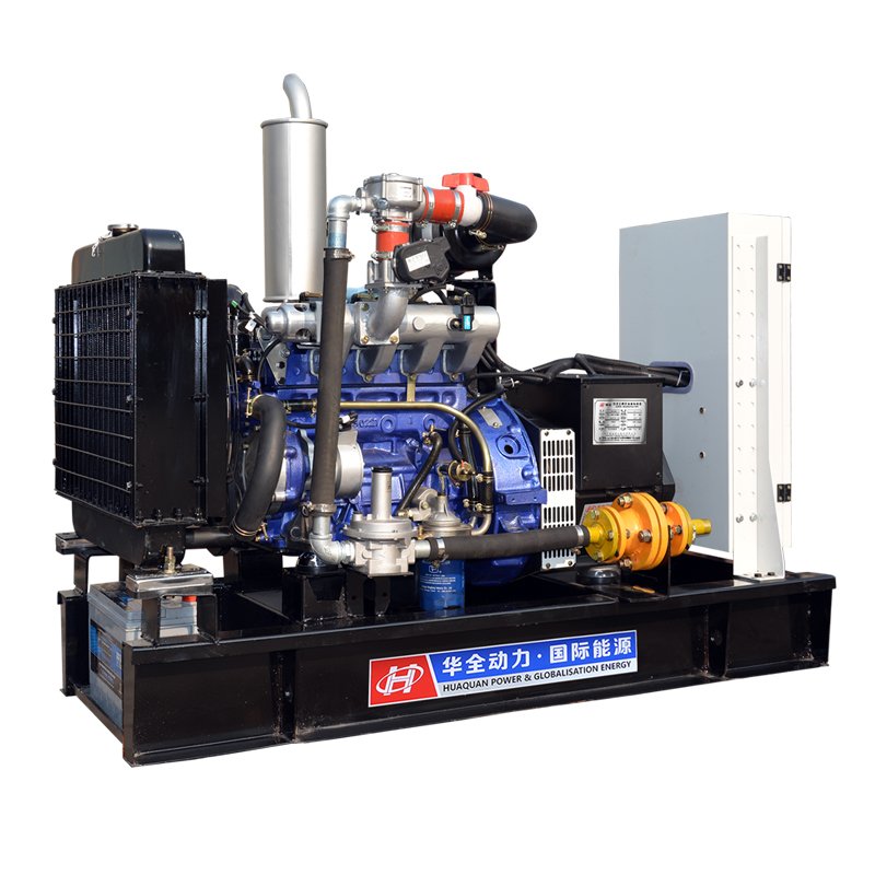 Biogas plant from animal waste/farm waste/biomass cogeneration