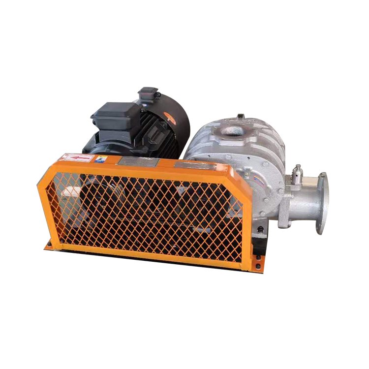 Constant Volume Rotary Air Blower Special Gas Biogas Industrial Air Compressor Vacuum Pump Roots Blower For Aeration