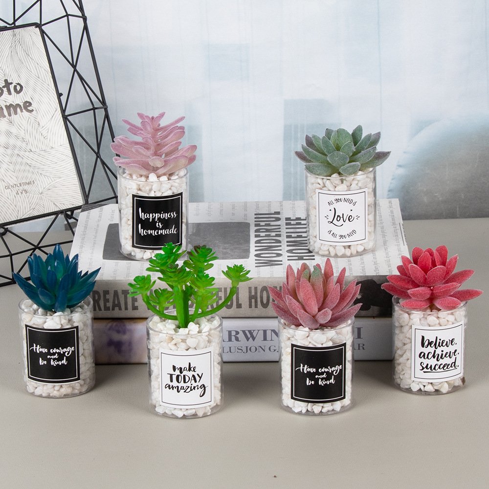 Quickly Shipping Low MOQ Various Shape Table Decor Artificial Bonsai Artificial Succulent Plant for Home Office Decoration