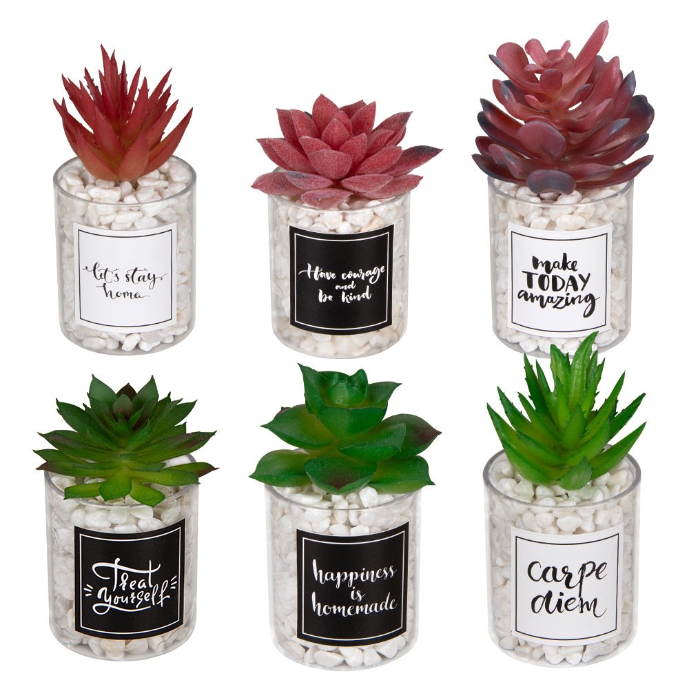 Quickly Shipping Low MOQ Various Shape Table Decor Artificial Bonsai Artificial Succulent Plant for Home Office Decoration