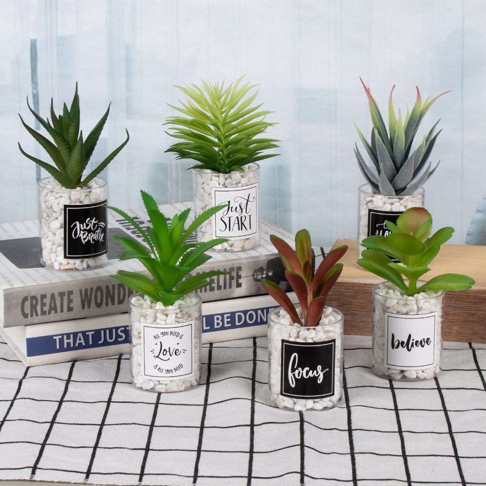 Quickly Shipping Low MOQ Various Shape Table Decor Artificial Bonsai Artificial Succulent Plant for Home Office Decoration