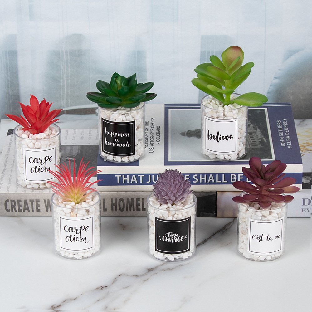Quickly Shipping Low MOQ Various Shape Table Decor Artificial Bonsai Artificial Succulent Plant for Home Office Decoration