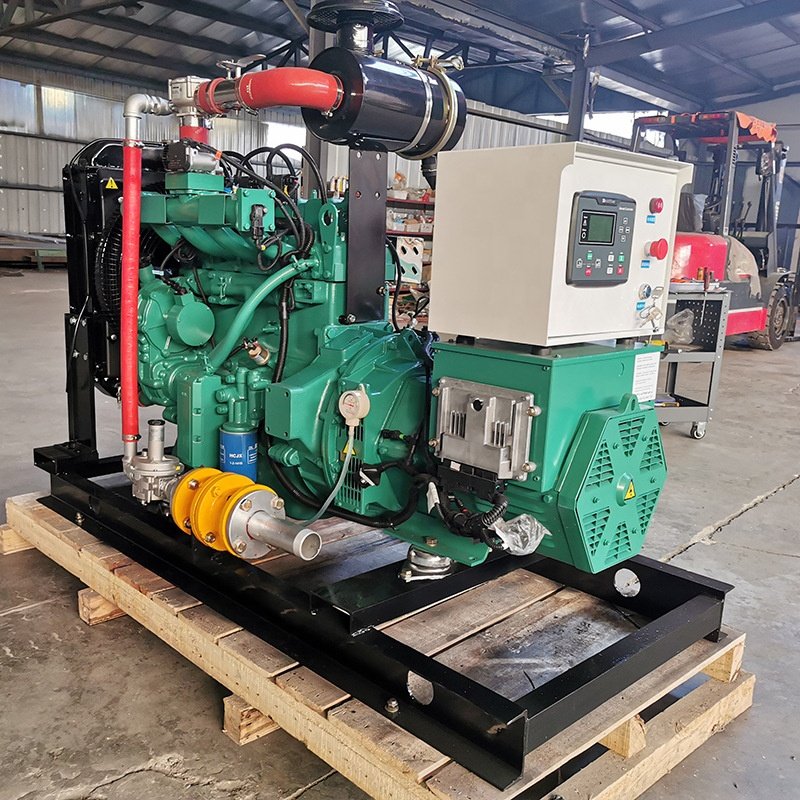10KW to 2000KW Natural Gas Biogas CNG LNG Methane Generator with CHP and Biogas Purification for LPG Use