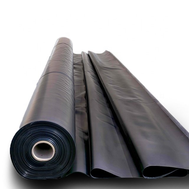 High Quality HDPE 2mm Sheet Geomembrane for Azolla Farming Blue Ponds Liner Tank with Membrane