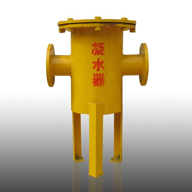 biogas torch, dehydrating tank, desulfurization tank and other necessary equipment