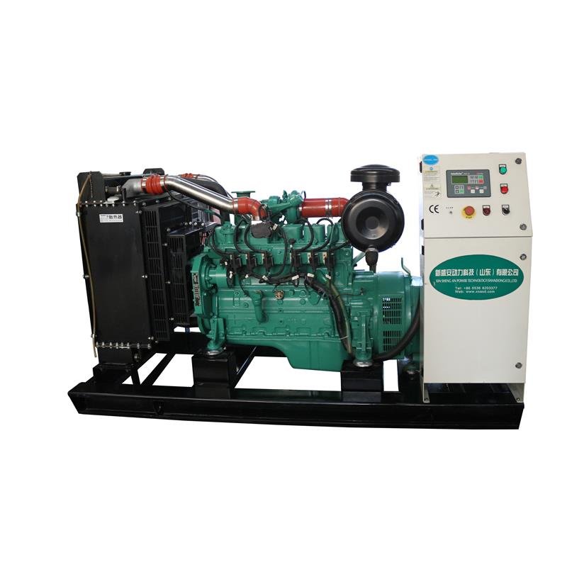 Commercial 50kw Cogeneration Natural Biogas Electricity Generator