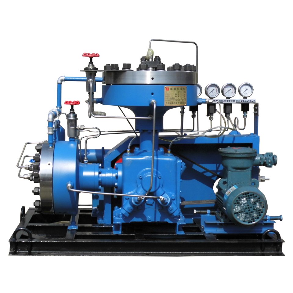 Competitive Price Argon Gas Diaphragm Compressor For Cylinder Filling Plant 30Kw 25Mpa Biogas Compressor