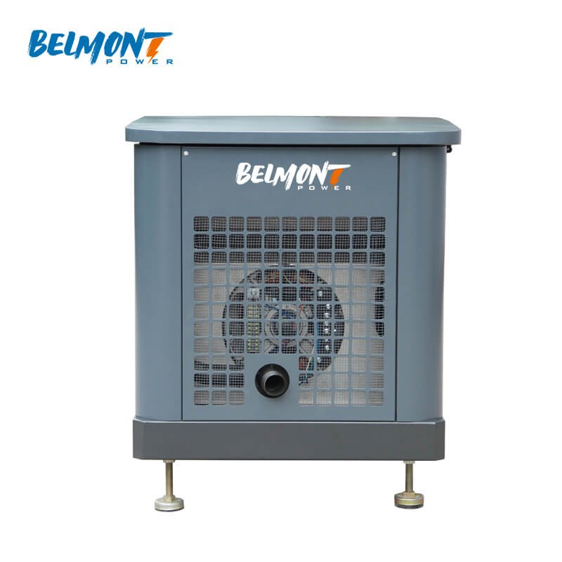 230v 400v 15kw 17.5kv 19Kva 20kva 16kw 25kva 36kva 20kw 22kw Natural Gas Generator