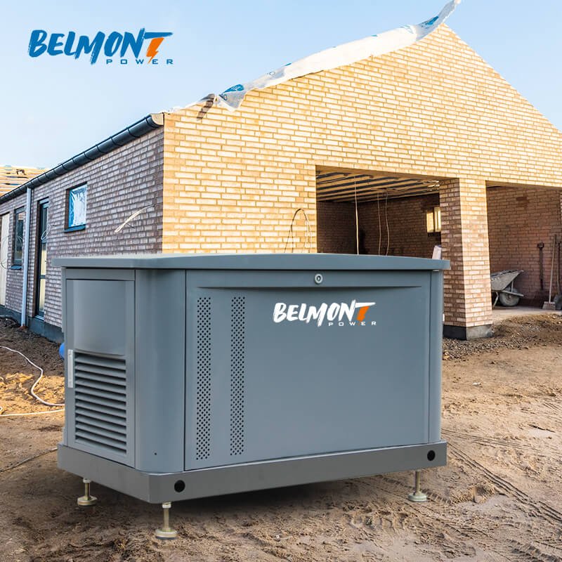 230v 400v 15kw 17.5kv 19Kva 20kva 16kw 25kva 36kva 20kw 22kw Natural Gas Generator