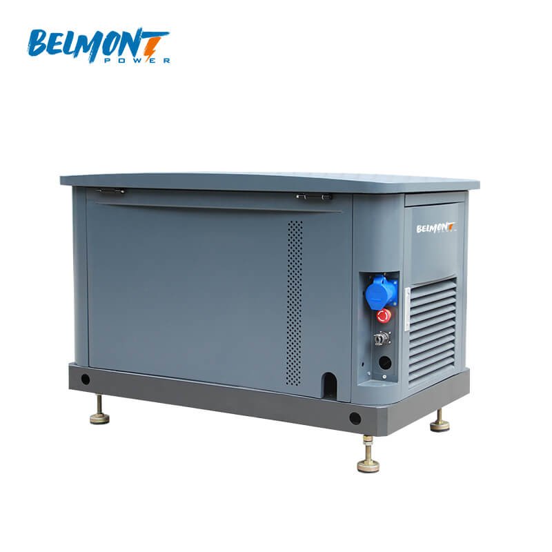230v 400v 15kw 17.5kv 19Kva 20kva 16kw 25kva 36kva 20kw 22kw Natural Gas Generator