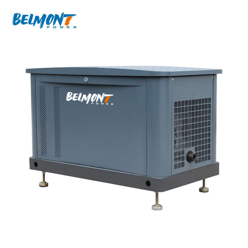 230v 400v 15kw 17.5kv 19Kva 20kva 16kw 25kva 36kva 20kw 22kw Natural Gas Generator