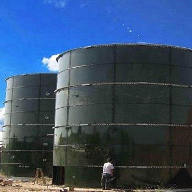 Biodigestor Biogas Production From Cow Dung For Cattle Farm Waste Treatment