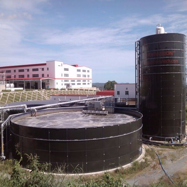 Biodigestor Biogas Production From Cow Dung For Cattle Farm Waste Treatment