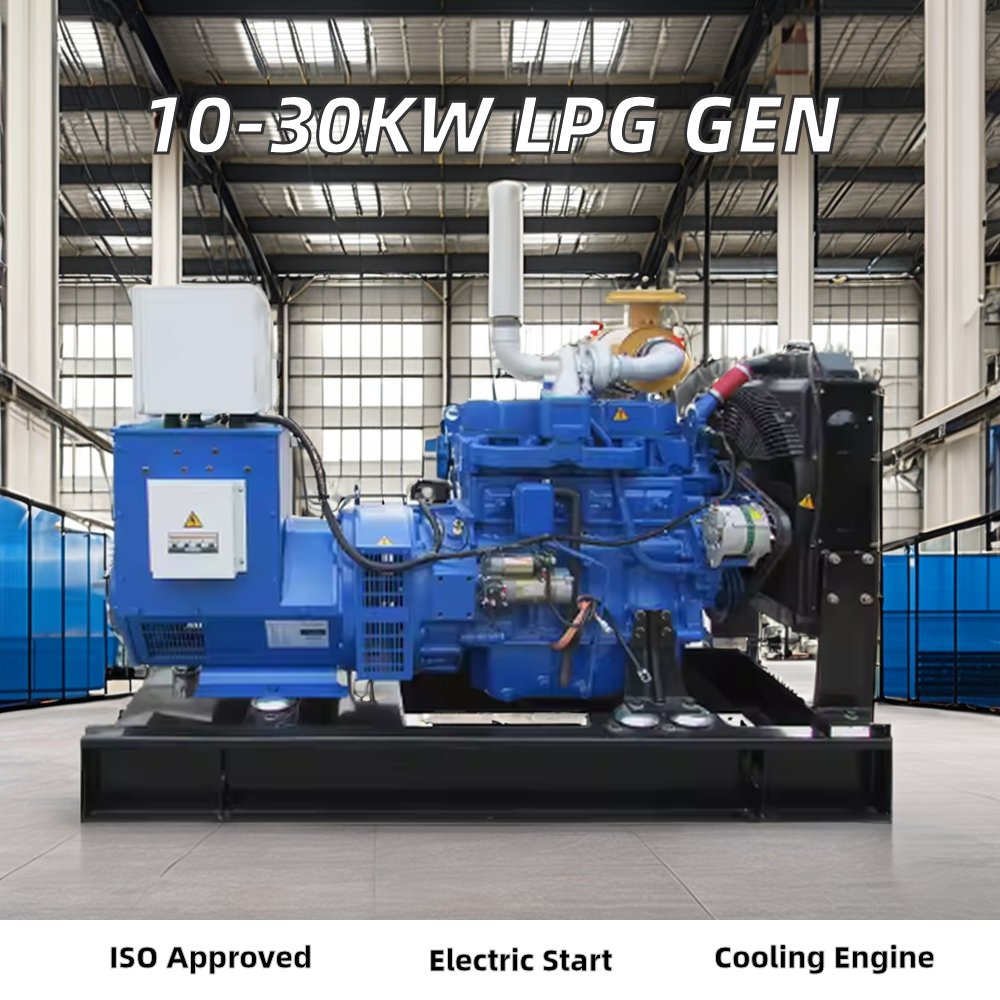 China 60kva 70kva 80kva Electric Dynamo LPG Generator Set with Auto & Remote Start Single Phase 220V DC Output Gas/Biogas Fuel