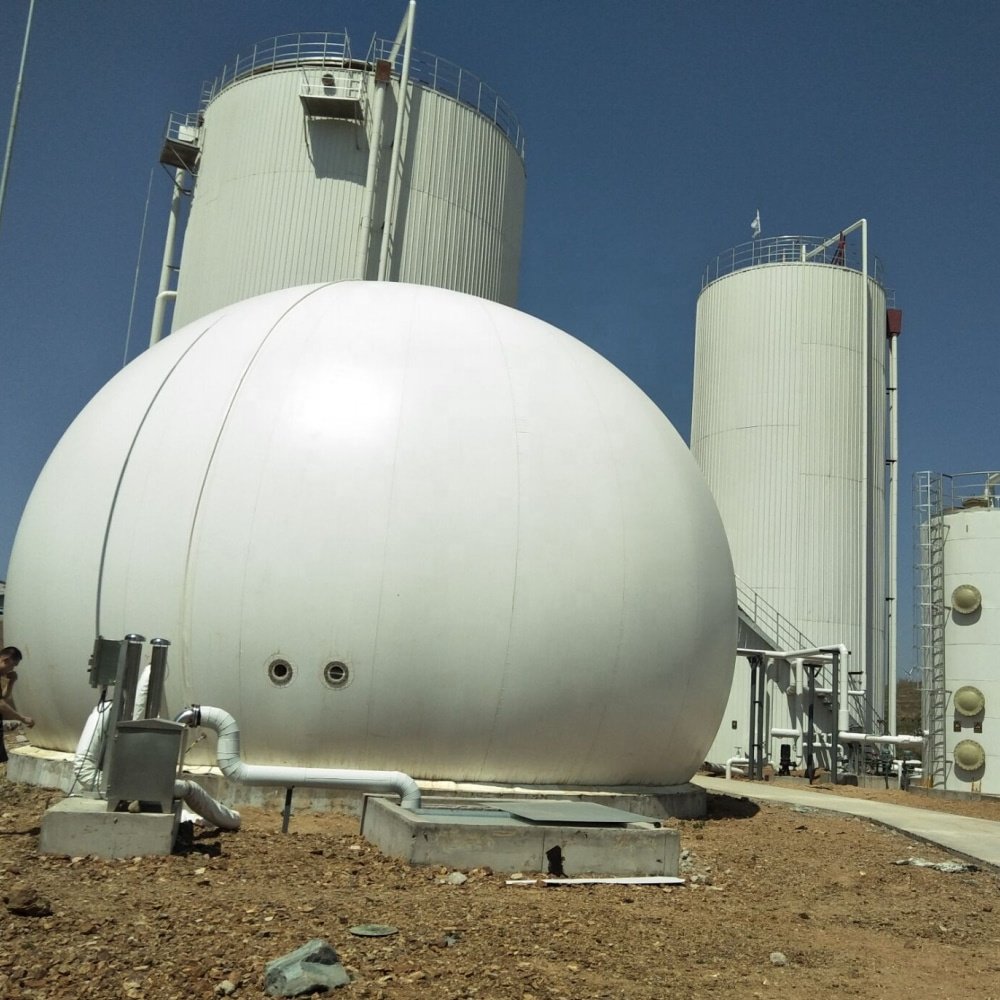 2024 Customized gas holder/gas storage tank/gasometer for biogas fertilizer plant