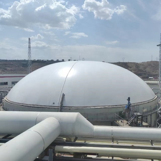 2024 Customized gas holder/gas storage tank/gasometer for biogas fertilizer plant