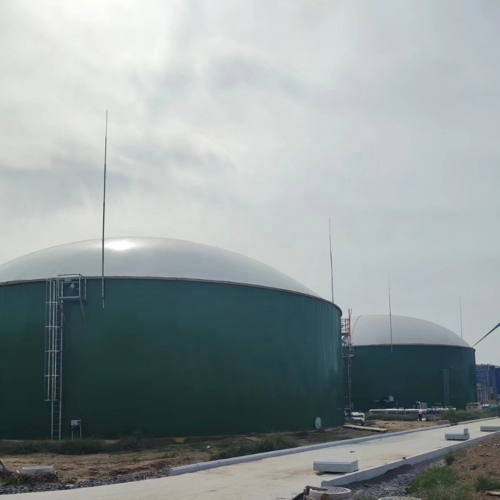 2024 Customized gas holder/gas storage tank/gasometer for biogas fertilizer plant