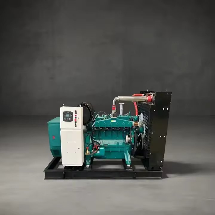Weichai Yuchai 6BT Electric Generator Sets Methane CNG LNG Wood Gas Biomass Powered Turbine Waste Heat Recovery for Biogas