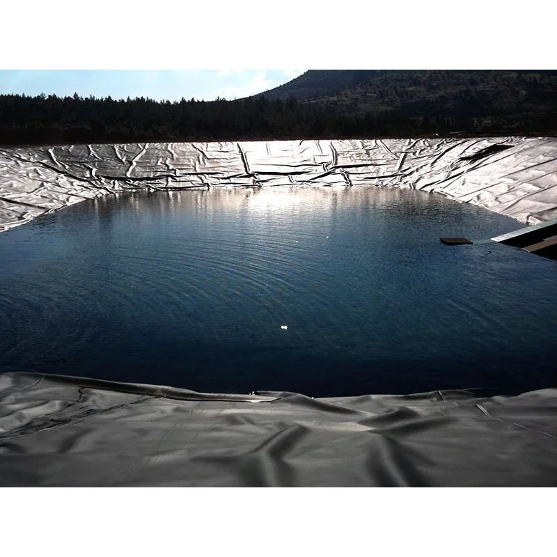 Shrimp Pond Waterproofing HDPE Geomembrane Waterproofing 100% Virgin HDPE Pond Dam Liner Swimming Pool 1.5mm1.0mm membrane film