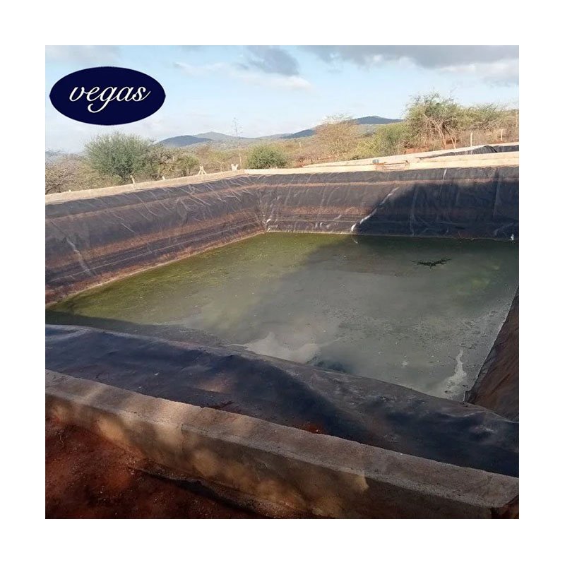 Shrimp Pond Waterproofing HDPE Geomembrane Waterproofing 100% Virgin HDPE Pond Dam Liner Swimming Pool 1.5mm1.0mm membrane film