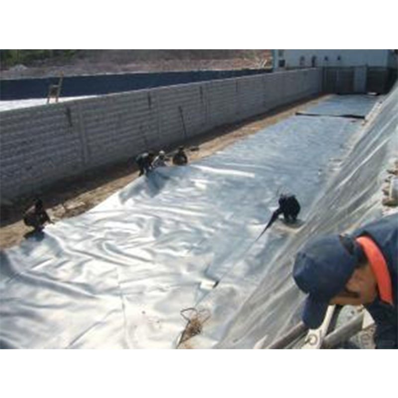 Shrimp Pond Waterproofing HDPE Geomembrane Waterproofing 100% Virgin HDPE Pond Dam Liner Swimming Pool 1.5mm1.0mm membrane film
