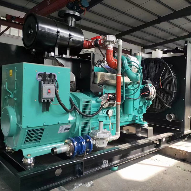 40kw 45kw 50kva 55kva Biogas Genset Gas Generator