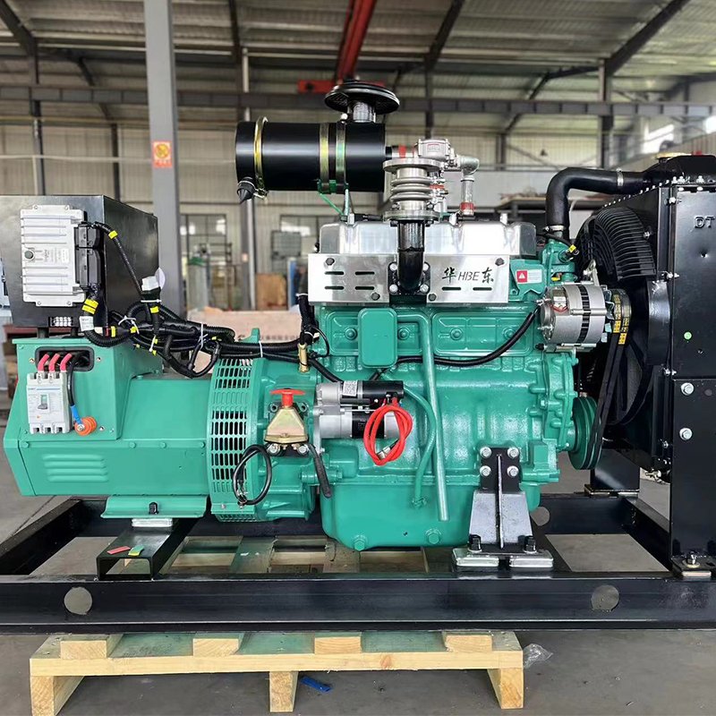 40kw 45kw 50kva 55kva Biogas Genset Gas Generator