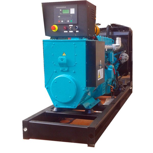 Biogas Engine Electric Generator Set Price 10kw 20kW 50kw 100kW 200kW 1mW for Bio Gas Power Plant Generation