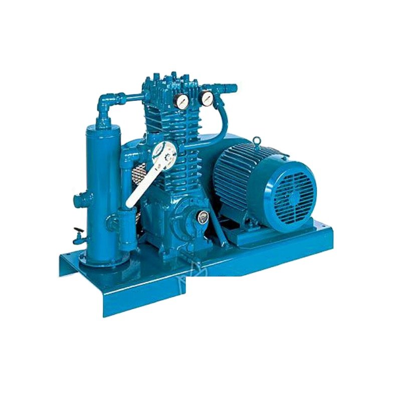 High Quality CNG Biogas & LPG Gas Compressor For High-Pressure Reciprocating Plug At Gas Station