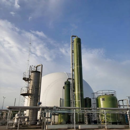 2024 Desulfurization Scrubber System Biogas Low Energy Consumption Membrane CO2 Removal Equipment From Biogas Amines