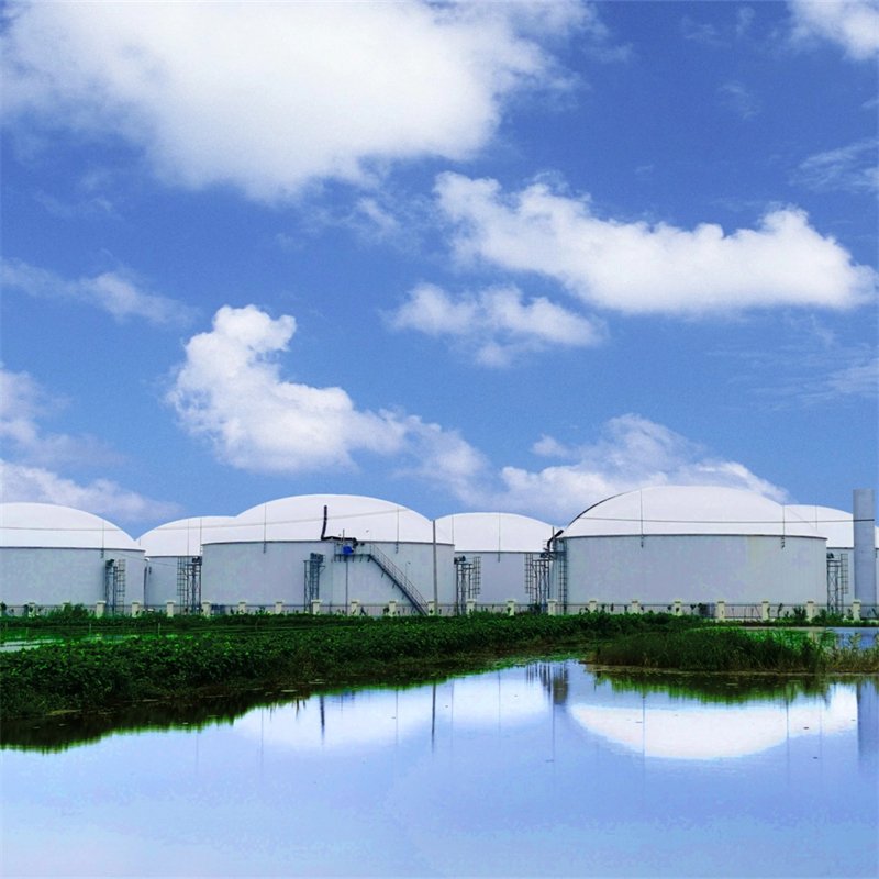 2024 Desulfurization Scrubber System Biogas Low Energy Consumption Membrane CO2 Removal Equipment From Biogas Amines