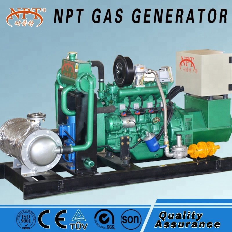 Customized CE approved 25KW generator biogas for electricity
