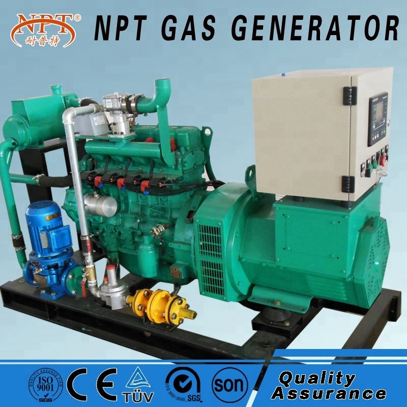 Customized CE approved 25KW generator biogas for electricity