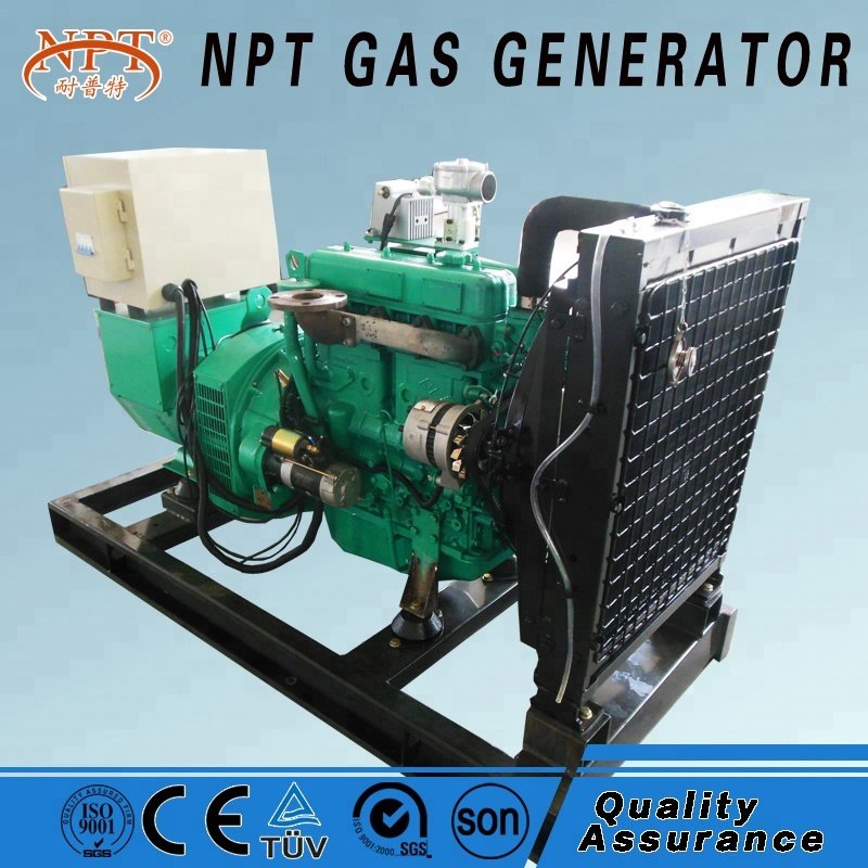 Customized CE approved 25KW generator biogas for electricity