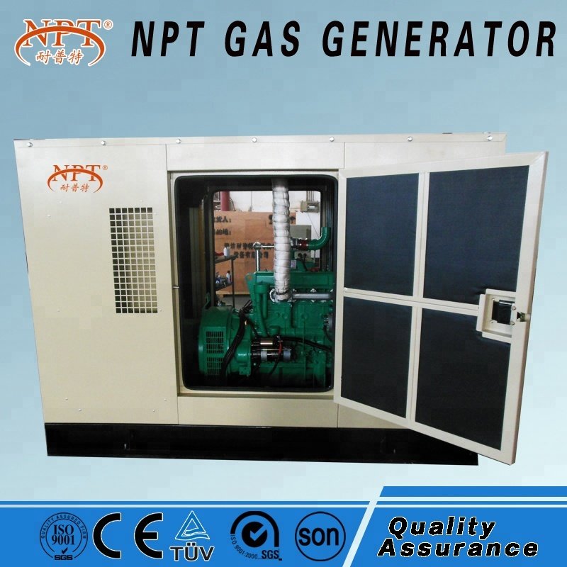 Customized CE approved 25KW generator biogas for electricity