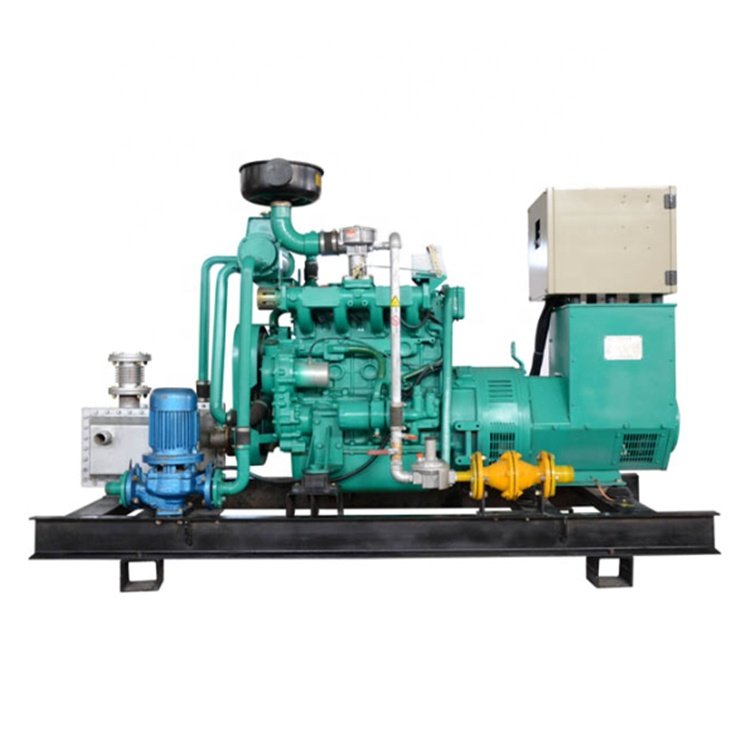Customized CE approved 25KW generator biogas for electricity