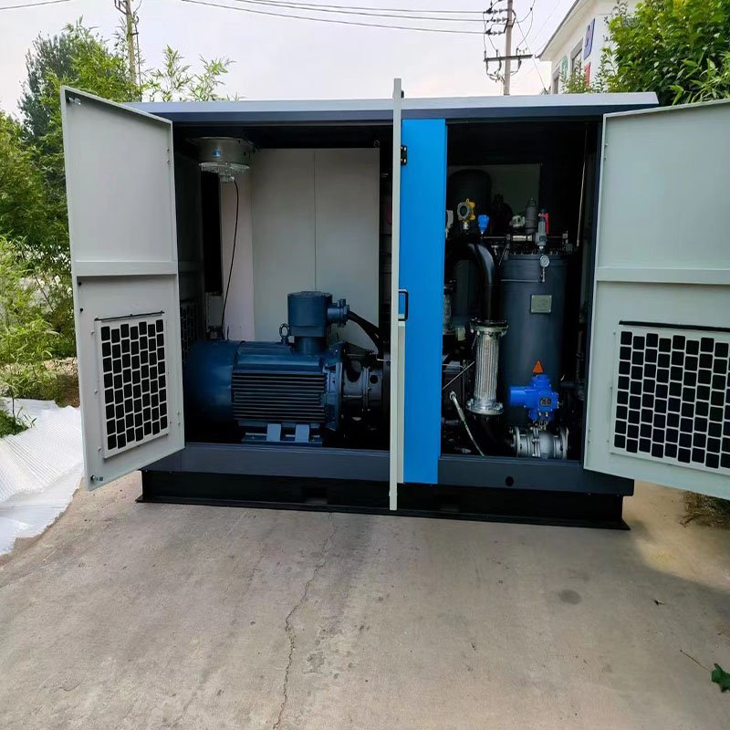 Customizable pressure biogas screw compressor air compressor industrial
