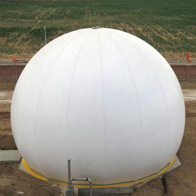 BSL pig dung biogas digester tank