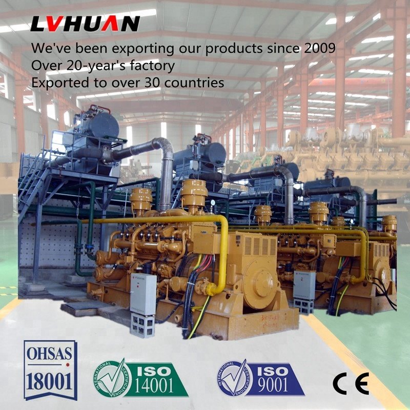 1 mw biogas electric power generator