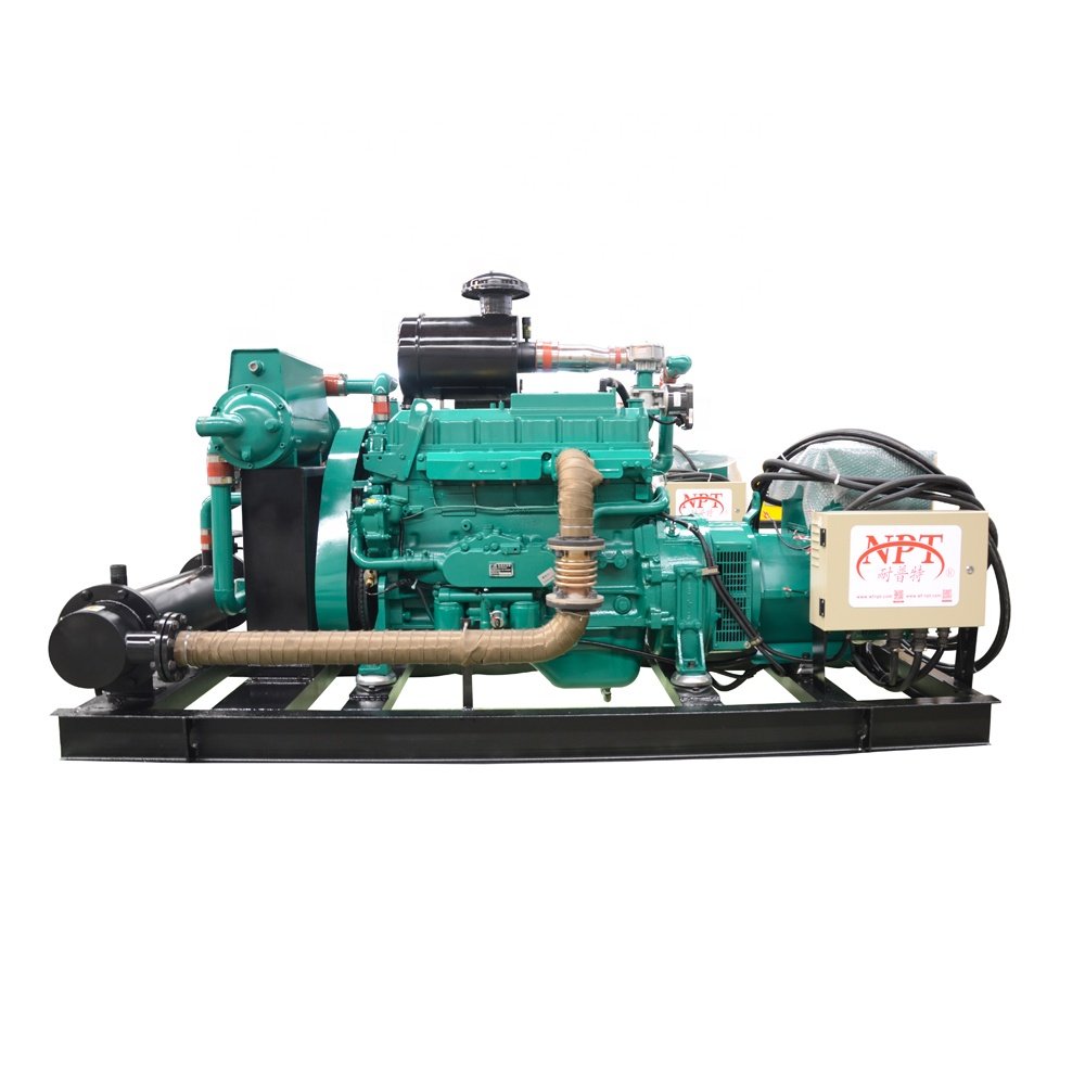 CE approved biogas generator/gas power plant 10-500kW