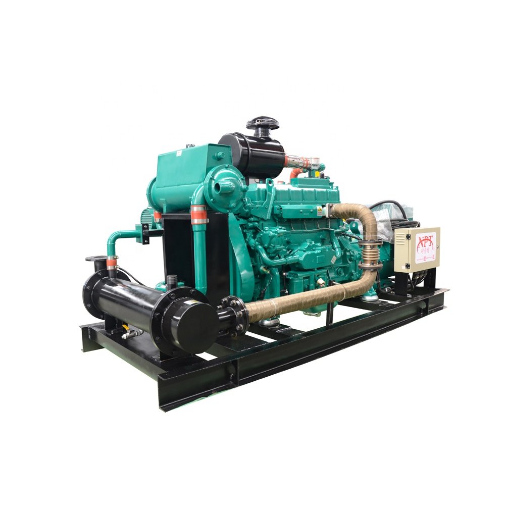 CE approved biogas generator/gas power plant 10-500kW