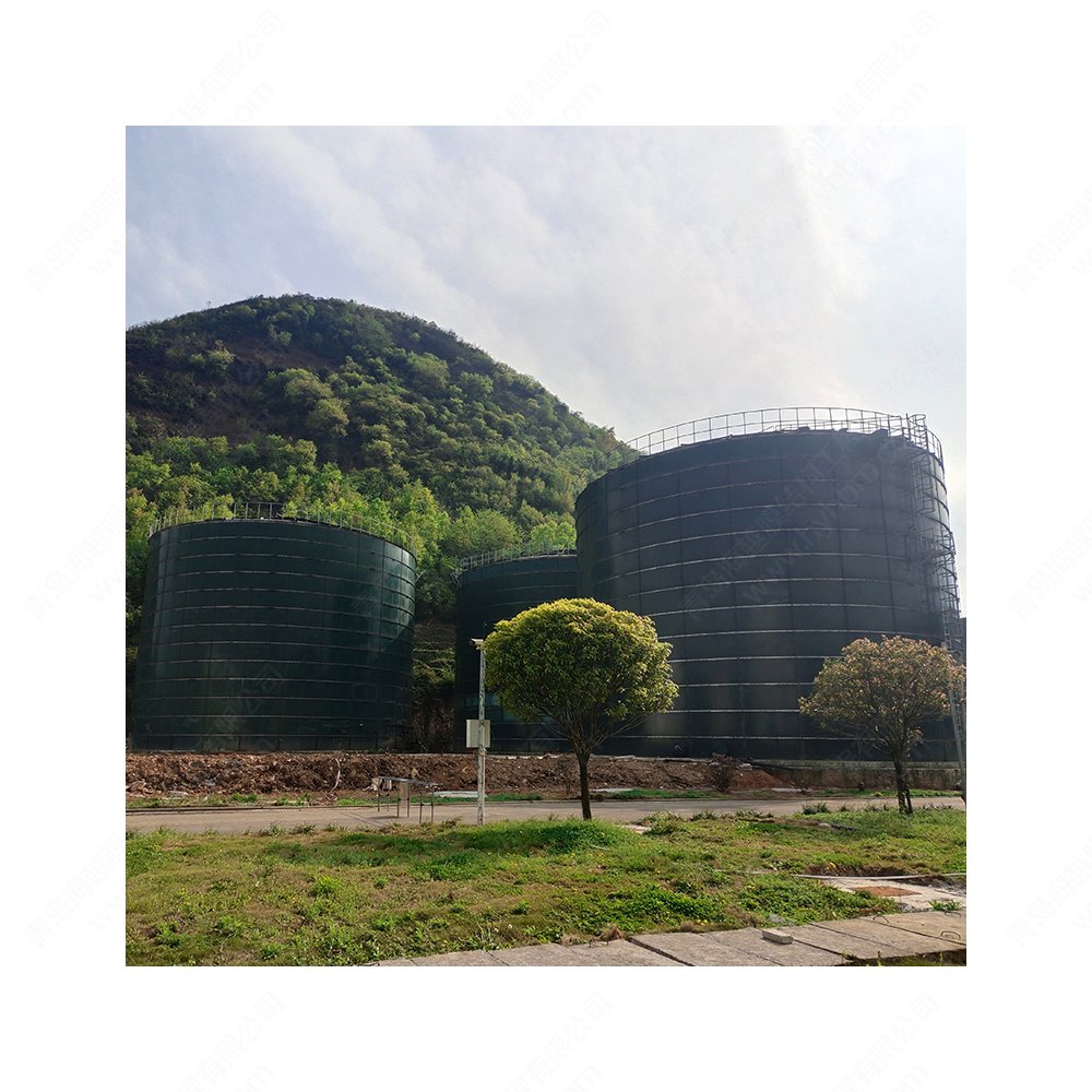 Biogas projects at the right price