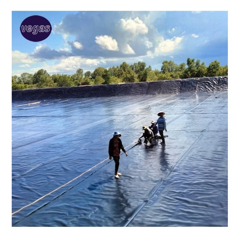 Waterproofing Geomembrane 0.3mm 0.5mm 0.75mm Fish Farming Pond liner hdpe geomembranas