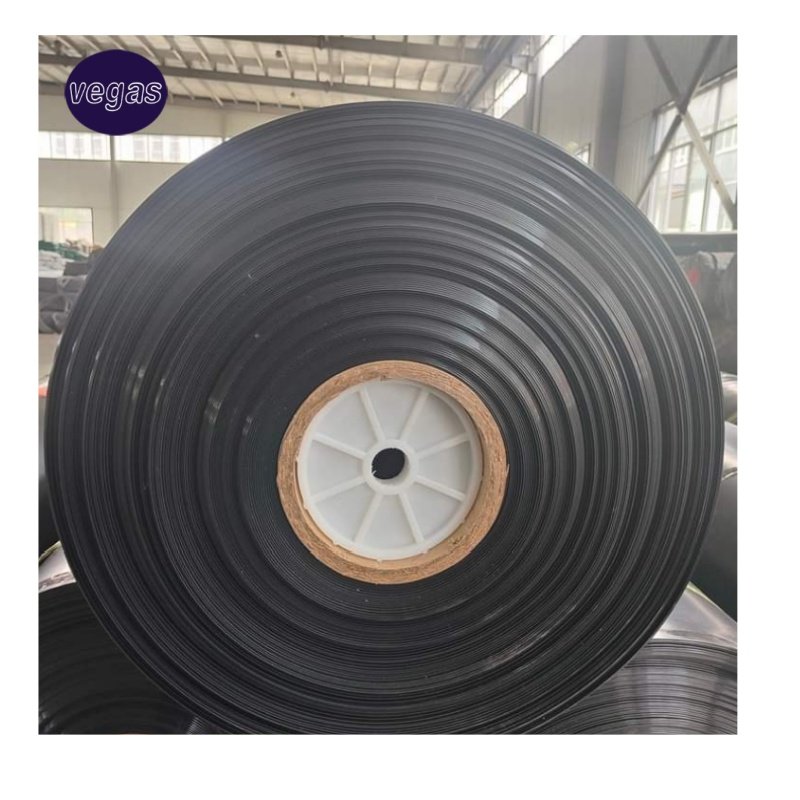 Waterproofing Geomembrane 0.3mm 0.5mm 0.75mm Fish Farming Pond liner hdpe geomembranas